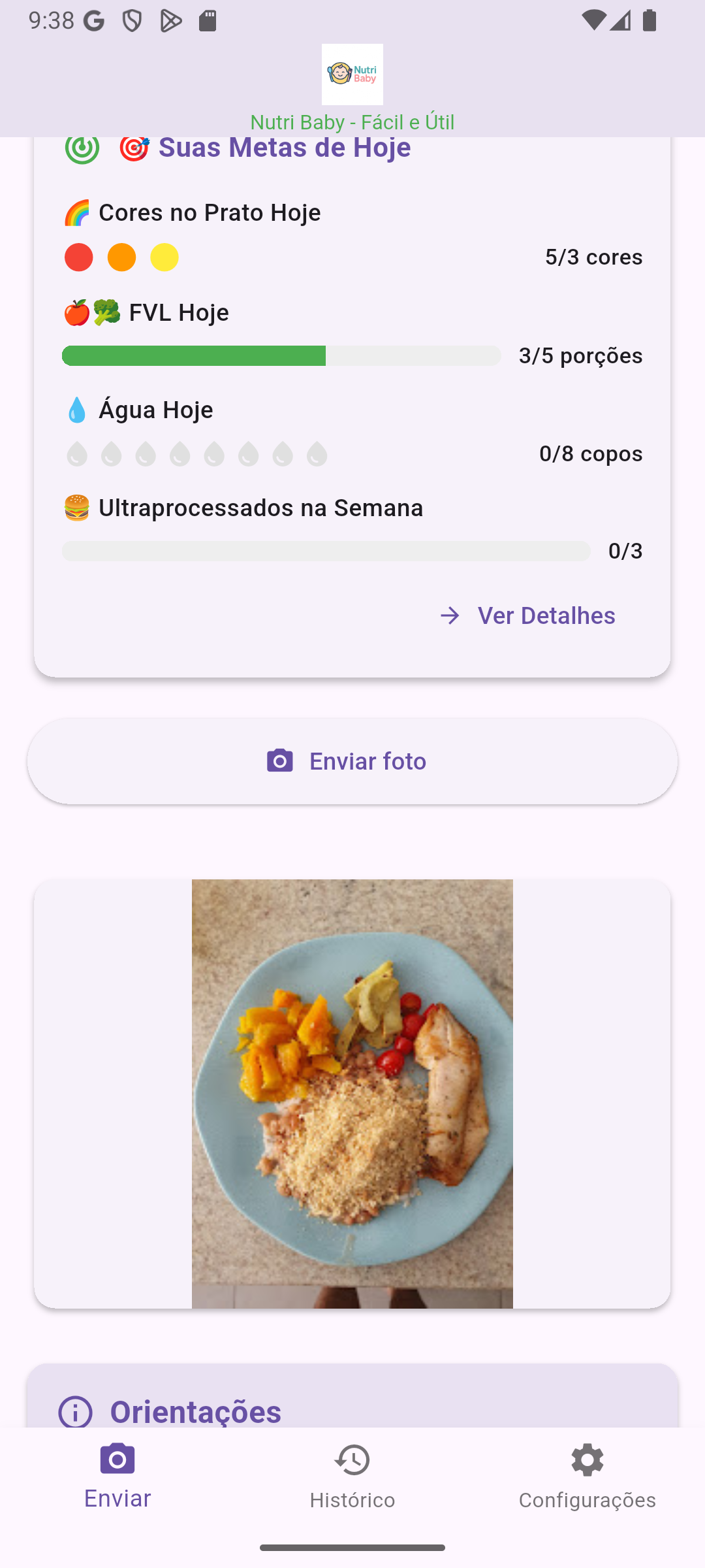 Tela real do Nutri Baby com análise de uma refeição